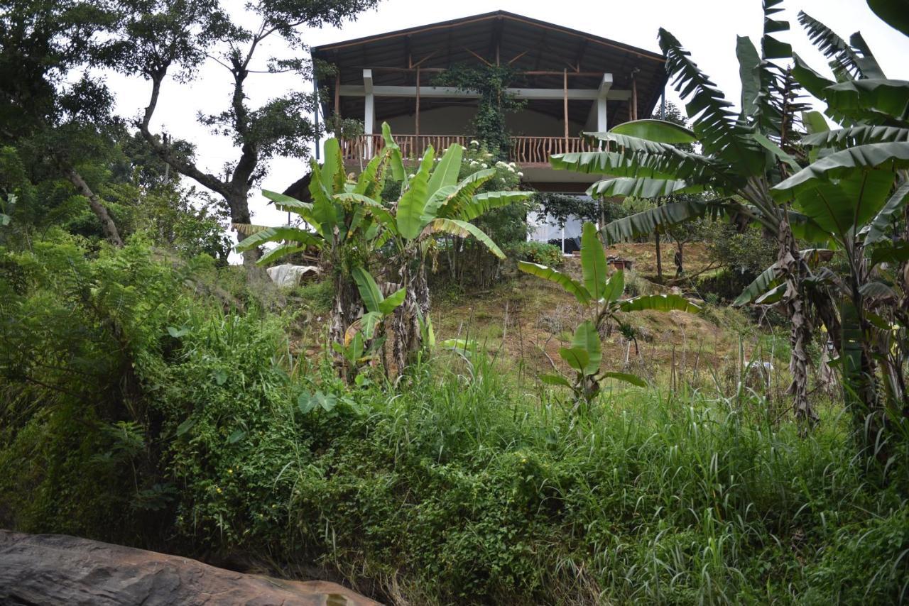 Ella Rock Grun Cottage Zewnętrze zdjęcie